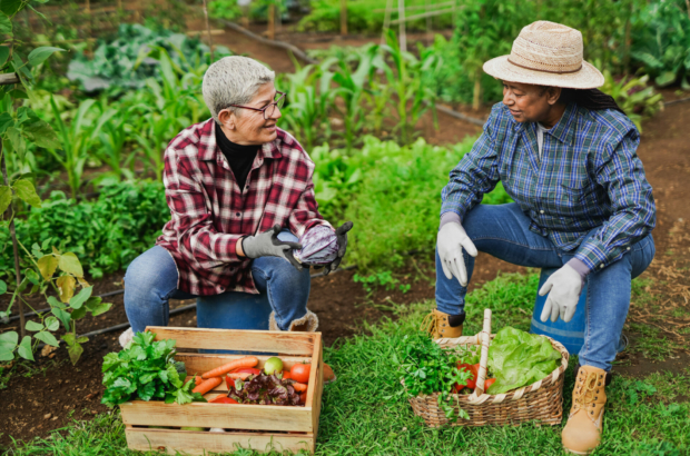 multiracial-senior-women-having-fun-gardening-together-ecological-vegetable-and-harvest-concept-stockpack-istock.jpg