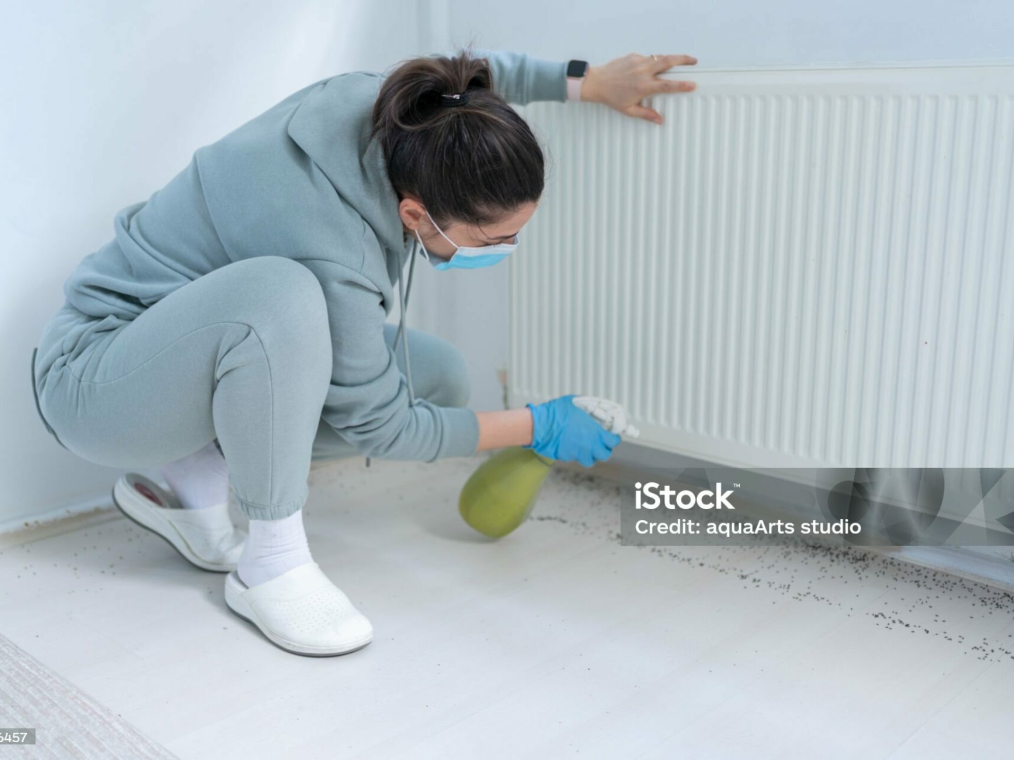 woman-spraying-insecticide-with-sprayer-at-home-stockpack-istock.jpg
