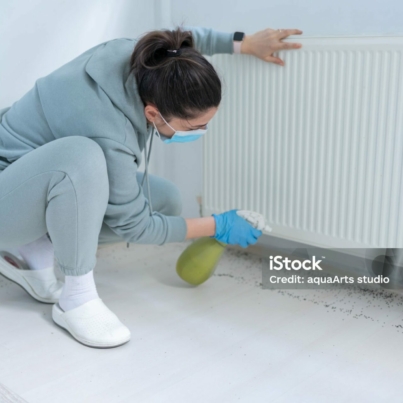 woman-spraying-insecticide-with-sprayer-at-home-stockpack-istock.jpg