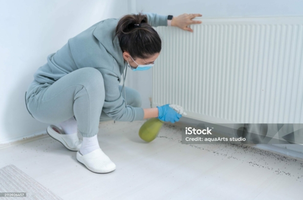 woman-spraying-insecticide-with-sprayer-at-home-stockpack-istock.jpg