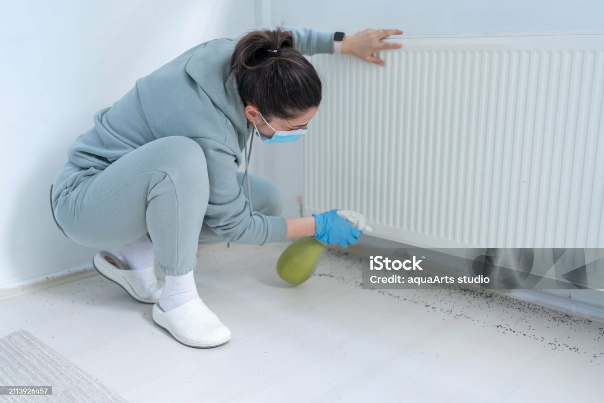woman-spraying-insecticide-with-sprayer-at-home-stockpack-istock.jpg